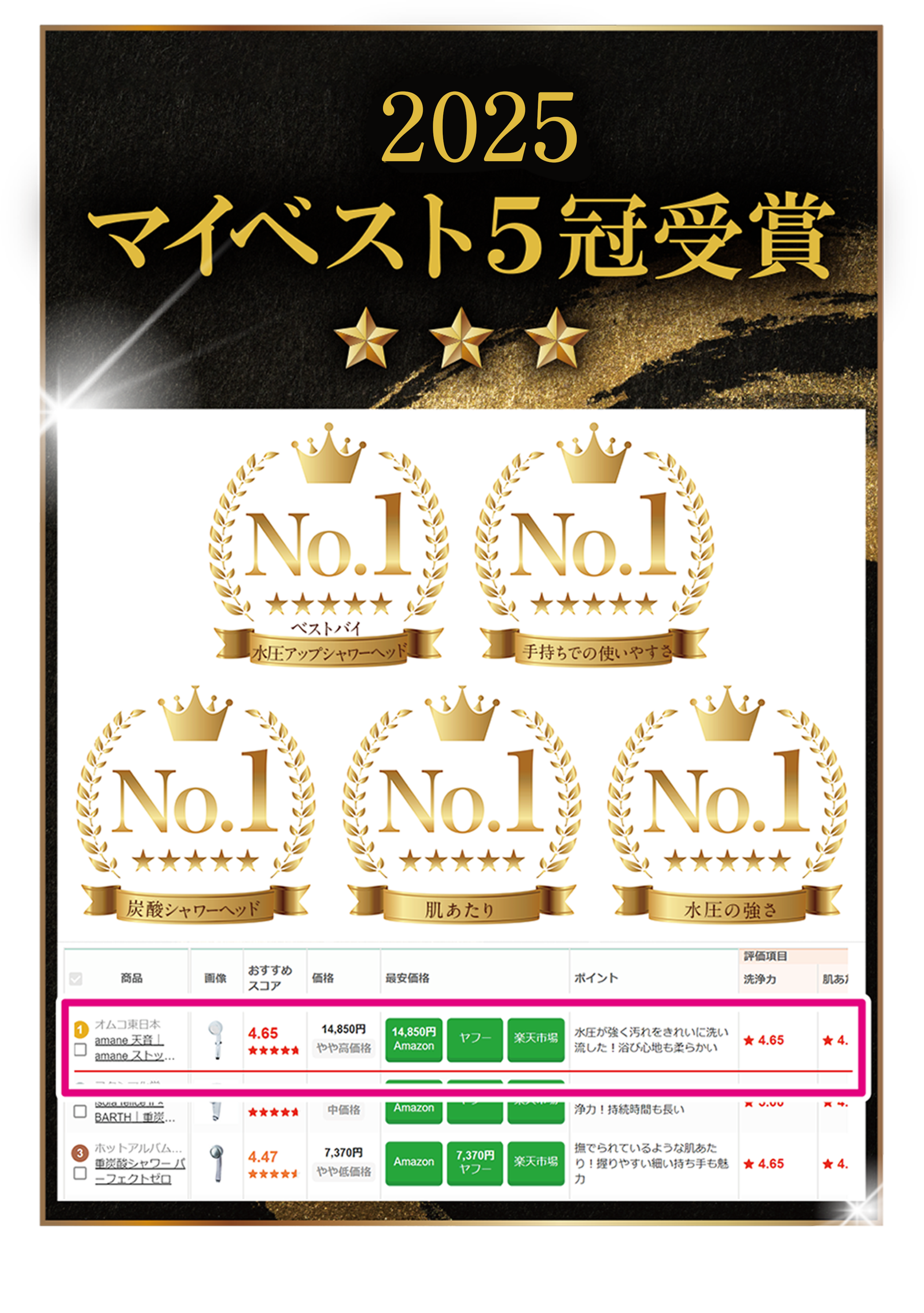 2025マイベスト5冠受賞