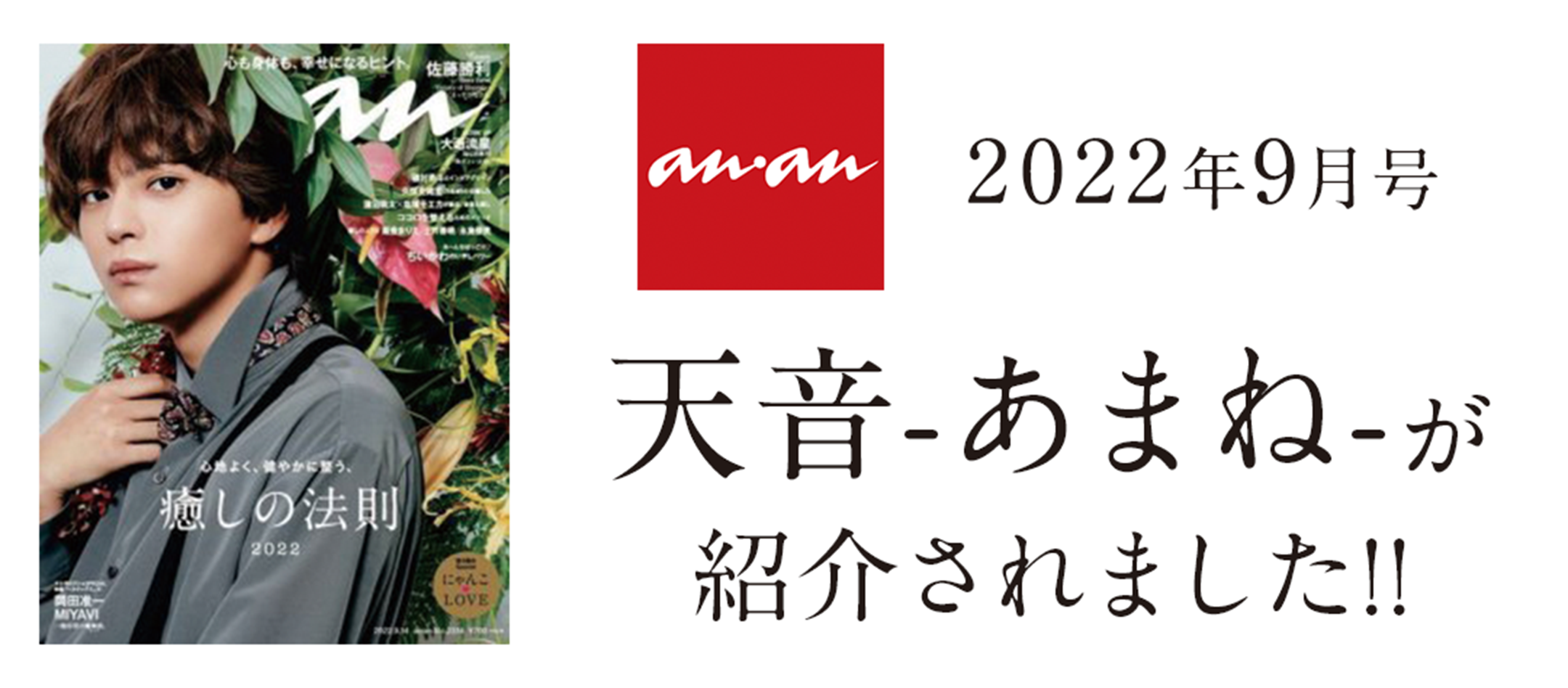 anan 天音が紹介されました