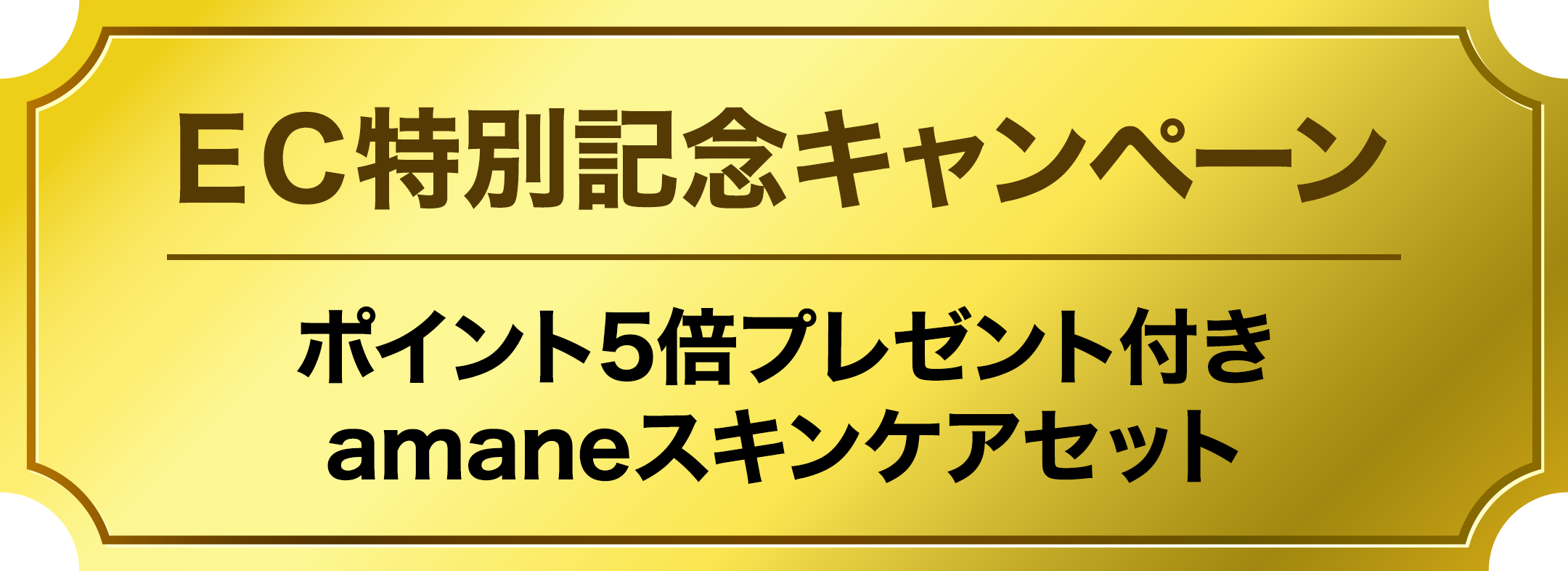 ＥＣ特別記念キャンペーン