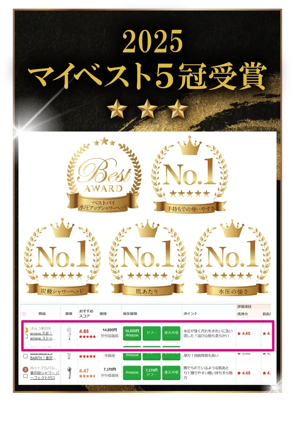 2025マイベスト5冠受賞