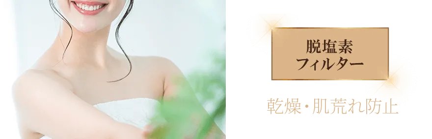 脱塩素フィルター　乾燥・肌荒れ防止