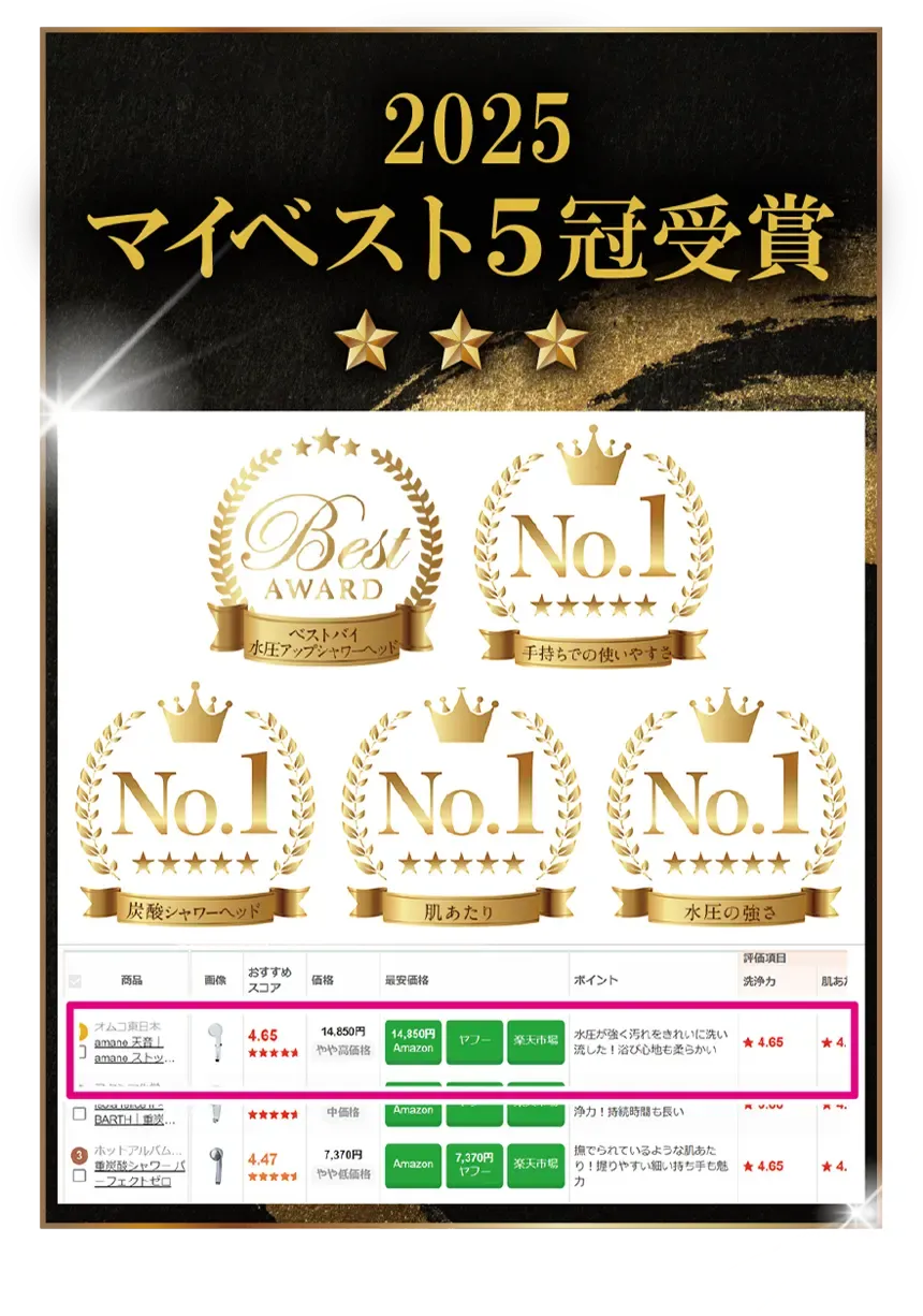 2025マイベスト5冠受賞