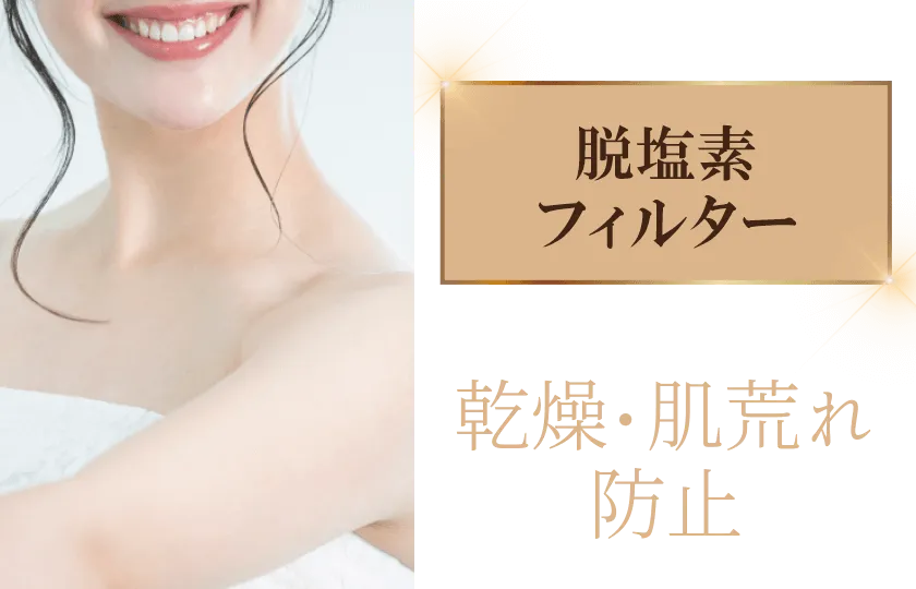 脱塩素フィルター　乾燥・肌荒れ防止